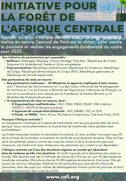 INITIATIVE POUR LA FORÊT DE L’AFRIQUE CENTRALE