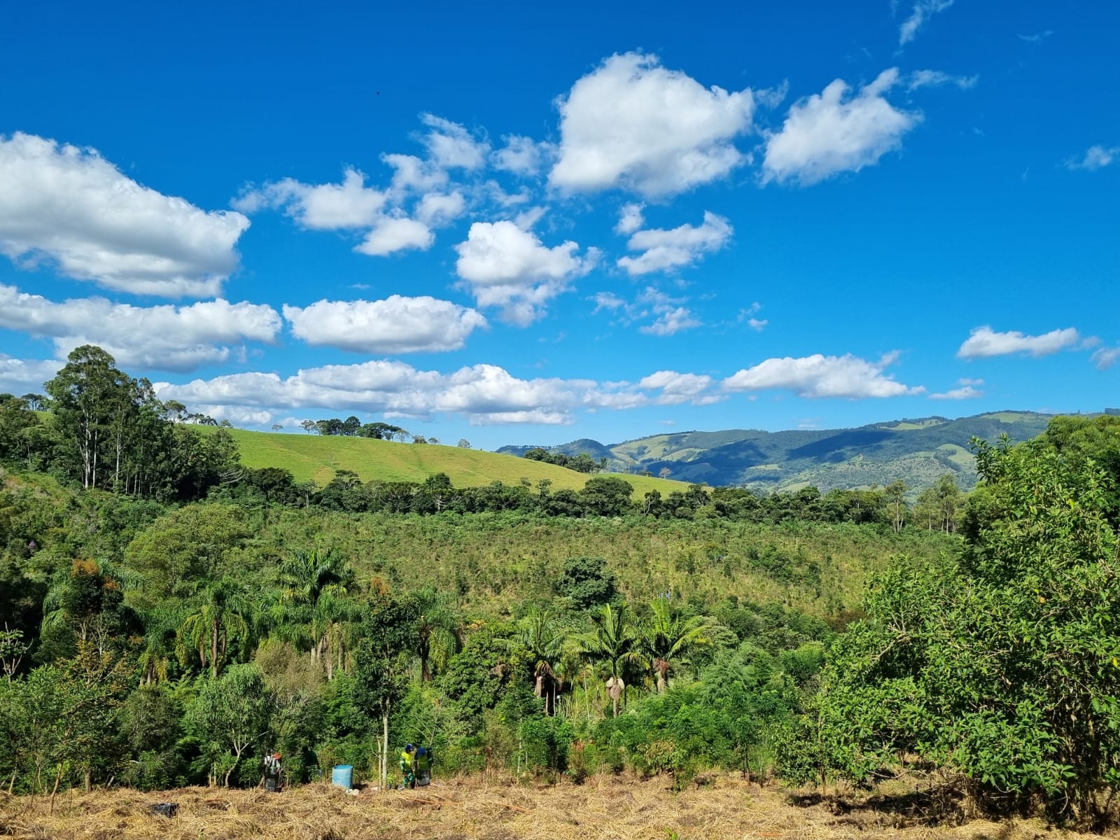 Travail de terrain au Brésil : Instrument municipal de compensation carbone à Extrema, Minas Gerais. Crédit photo : Marina Walder, étudiante en master et membre de l’équipe APIICC