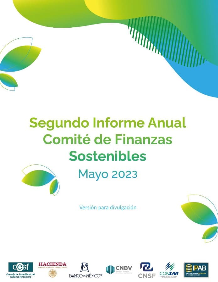 Segundo Informe Anual del Comité de Finanzas Sostenibles