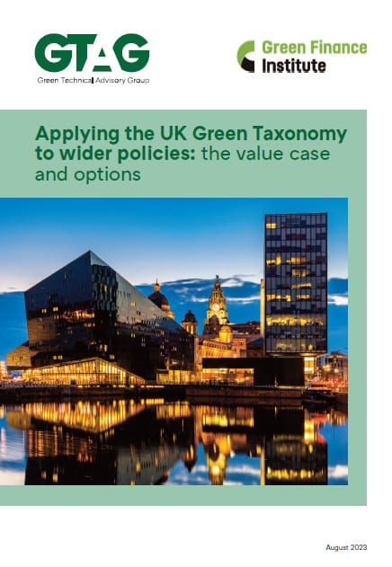 Applying the UK Green Taxonomy to wider policies: the value case and options