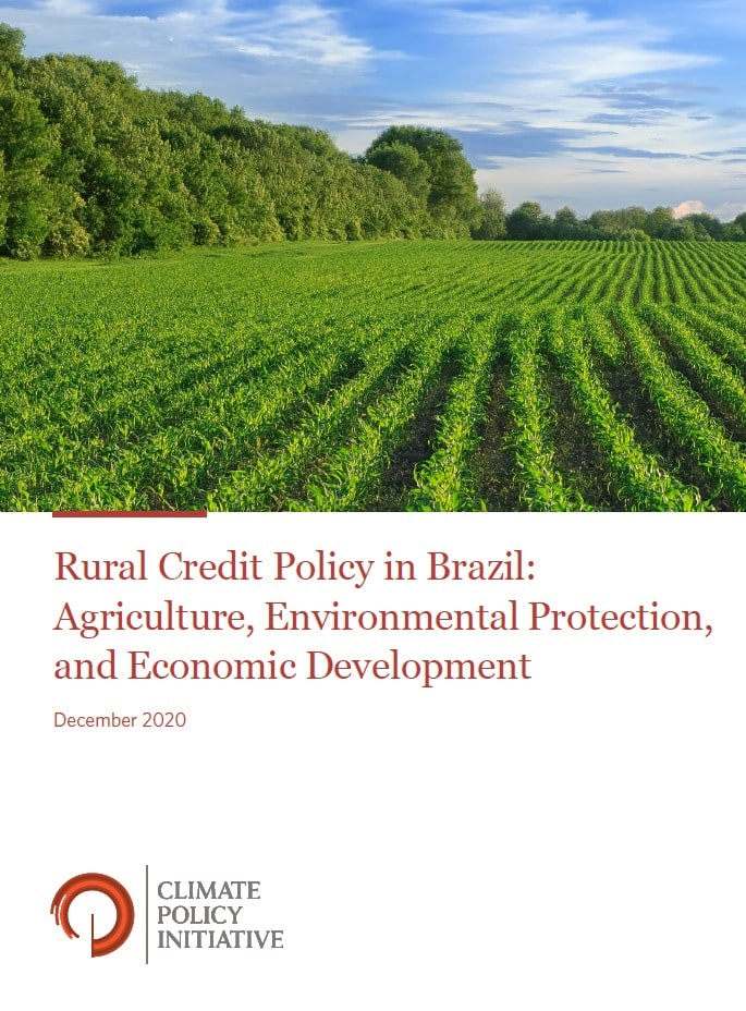 Rural Credit Policy in Brazil: Agriculture, Environmental Protection, and Economic Development