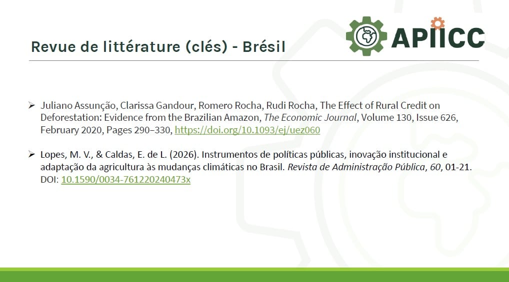 Revue de littérature (clés) – Brésil