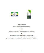 Lettre d’intention entre CAFI et le Gabon