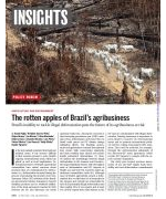 The rotten apples of Brazil’s agribusiness Brazil’s inability to tackle illegal deforestation puts the future of its agribusiness at risk